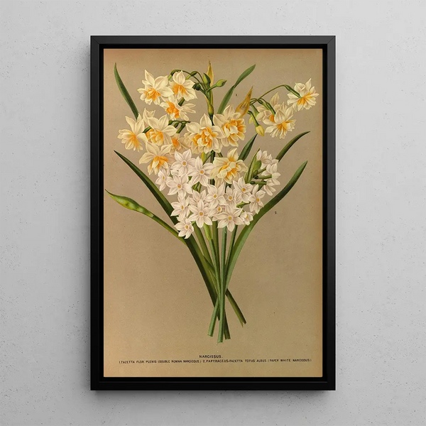 Reproduction of the painting Narcisse 2 - Arentina Hendrica Arendsen