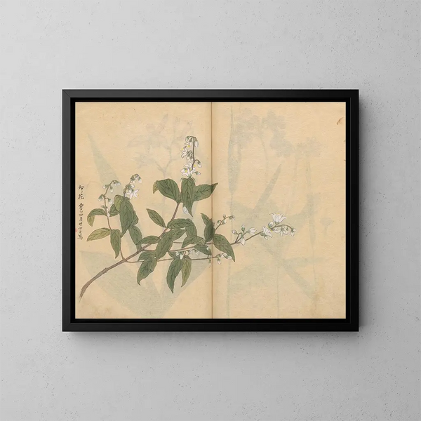 Sketchbook Pl005 - Ariyoshi Kondo — framed artwork on a wall