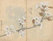 Cuaderno de bocetos Pl006 - Ariyoshi Kondo — vista de la obra