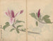 Cuaderno de bocetos Pl007 - Ariyoshi Kondo — vista de la obra