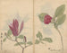 Sketchbook Pl008 - Ariyoshi Kondo — artwork view