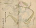 Cuaderno de bocetos Pl012 - Ariyoshi Kondo — vista de la obra