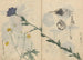 Sketchbook Pl013 - Ariyoshi Kondo — artwork view