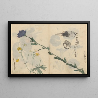 Ariyoshi Kondo - Sketchbook Pl013.webp