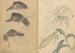 Cuaderno de bocetos Pl014 - Ariyoshi Kondo — vista de la obra
