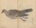 Cuaderno de bocetos Pl016 - Ariyoshi Kondo — vista de la obra