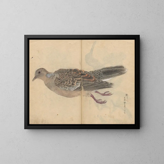Ariyoshi Kondo - Sketchbook Pl016.webp