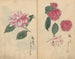 Sketchbook Pl017 - Ariyoshi Kondo — artwork view