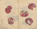 Cuaderno de bocetos Pl018 - Ariyoshi Kondo — vista de la obra