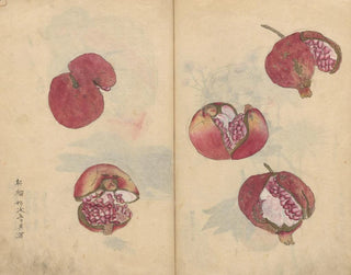 Ariyoshi Kondo - Sketchbook Pl018.webp