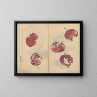 Ariyoshi Kondo - Sketchbook Pl018.webp