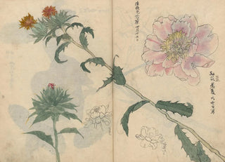 Ariyoshi Kondo - Sketchbook Pl019.webp