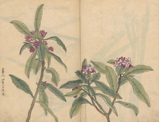 Ariyoshi Kondo - Sketchbook Pl022.webp