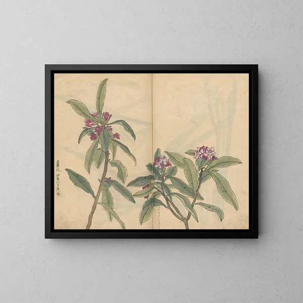 Sketchbook Pl022 - Ariyoshi Kondo — framed artwork on a wall