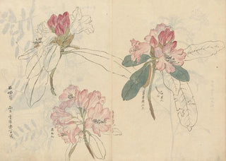 Ariyoshi Kondo - Sketchbook Pl024.webp