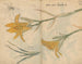 Cuaderno de bocetos Pl025 - Ariyoshi Kondo — vista de la obra