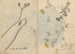 Cuaderno de Bocetos Pl026 - Ariyoshi Kondo — vista de la obra