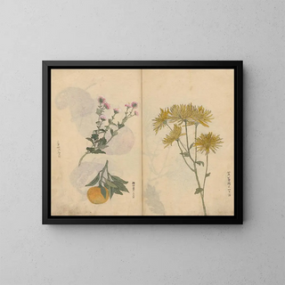 Ariyoshi Kondo - Sketchbook Pl027.webp