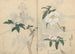 Cuaderno de bocetos Pl030 - Ariyoshi Kondo — vista de la obra