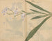 Cuaderno de bocetos Pl031 - Ariyoshi Kondo — vista de la obra