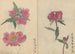 Cuaderno de bocetos Pl032 - Ariyoshi Kondo — vista de la obra