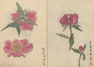 Ariyoshi Kondo - Sketchbook Pl032.webp