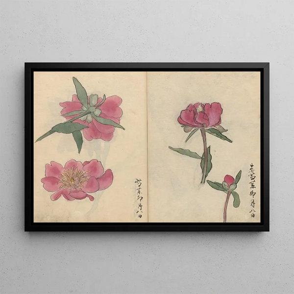 Sketchbook Pl032 - Ariyoshi Kondo — framed artwork on a wall