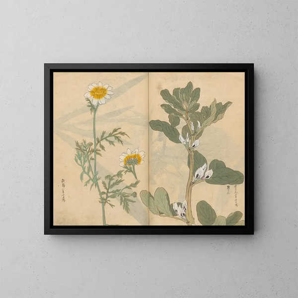 Sketchbook Pl036 - Ariyoshi Kondo — framed artwork on a wall