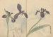 Cuaderno de bocetos Pl037 - Ariyoshi Kondo — vista de la obra