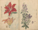 Cuaderno de bocetos Pl046 - Ariyoshi Kondo — vista de la obra