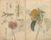 Cuaderno de bocetos Pl048 - Ariyoshi Kondo — vista de la obra