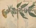 Cuaderno de bocetos Pl049 - Ariyoshi Kondo — vista de la obra