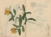 Sketchbook Pl052 - Ariyoshi Kondo — artwork view