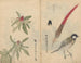 Sketchbook Pl053 - Ariyoshi Kondo — artwork view