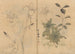 Cuaderno de Bocetos Pl055 - Ariyoshi Kondo — vista de la obra