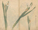 Sketchbook Pl058 - Ariyoshi Kondo — artwork view