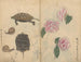 Cuaderno de bocetos Pl060 - Ariyoshi Kondo — vista de la obra