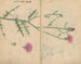Cuaderno de bocetos Pl062 - Ariyoshi Kondo — vista de la obra