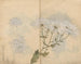 Sketchbook Pl063 - Ariyoshi Kondo — artwork view