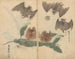 Cuaderno de bocetos Pl064 - Ariyoshi Kondo — vista de la obra