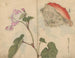 Cuaderno de bocetos Pl066 - Ariyoshi Kondo — vista de la obra