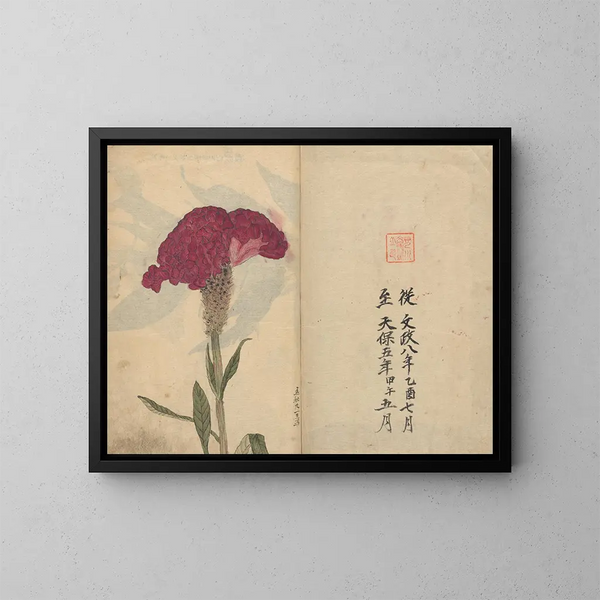 Cuaderno de bocetos Pl068 - Ariyoshi Kondo — cuadro enmarcado en la pared