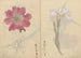 Cuaderno de bocetos Pl071 - Ariyoshi Kondo — vista de la obra