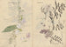 Cuaderno de bocetos Pl072 - Ariyoshi Kondo — vista de la obra