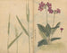 Cuaderno de bocetos Pl073 - Ariyoshi Kondo — vista de la obra