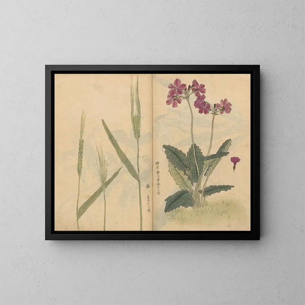 Cuaderno de bocetos Pl073 - Ariyoshi Kondo — cuadro enmarcado en la pared