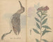 Cuaderno de bocetos Pl074 - Ariyoshi Kondo — vista de la obra