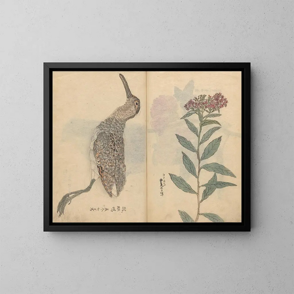 Cuaderno de bocetos Pl074 - Ariyoshi Kondo — cuadro enmarcado en la pared