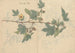 Cuaderno de Bocetos Pl075 - Ariyoshi Kondo — vista de la obra