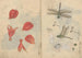 Cuaderno de bocetos Pl076 - Ariyoshi Kondo — vista de la obra